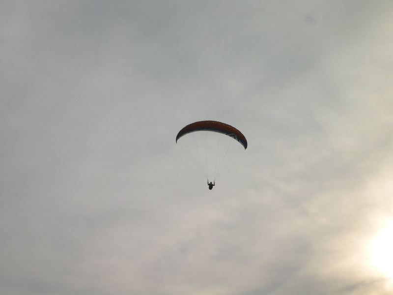 DSCN0065