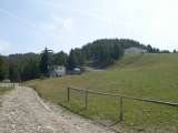 DSCN0020